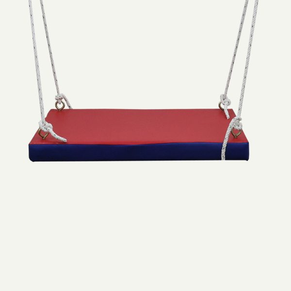 Platform Swing Occupational Therapy