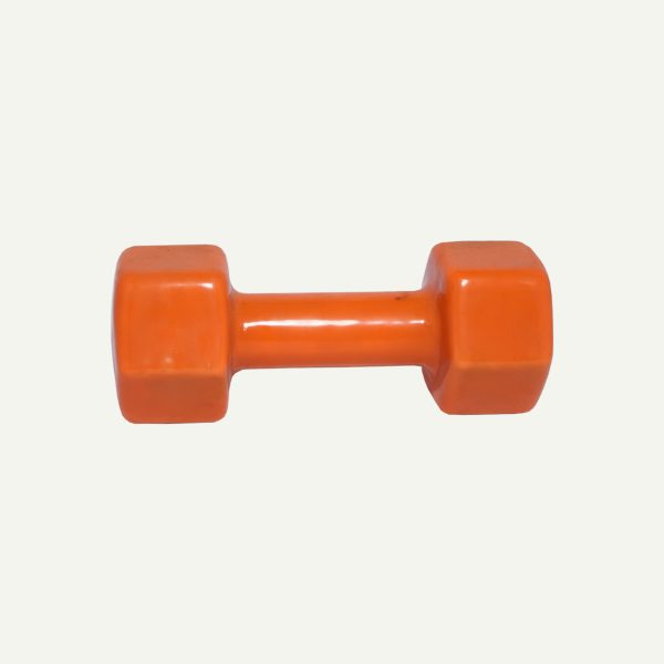 Dumbbells With Rack