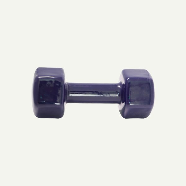 Dumbbells With Rack