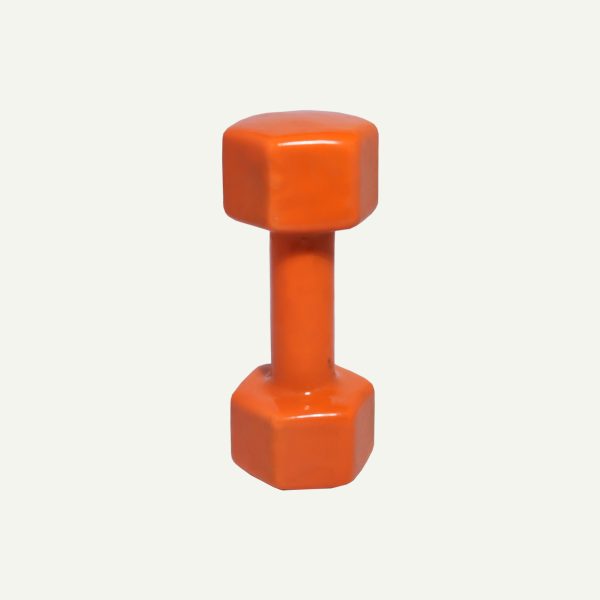 Dumbbells With Rack