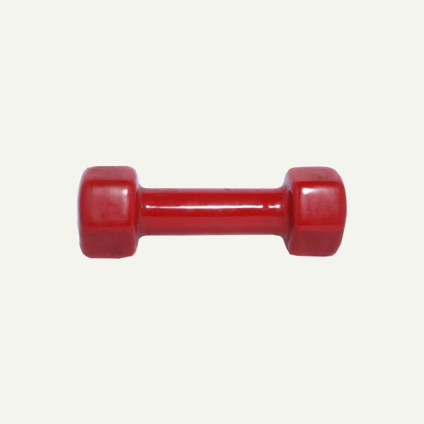 Dumbbells With Rack