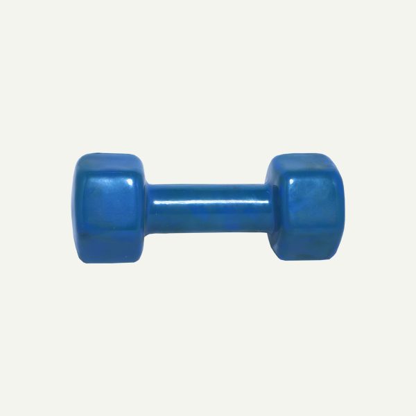 Dumbbells With Rack